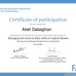 گواهینامه عطیه دباغیان - شرکت در دوره FAO 2026